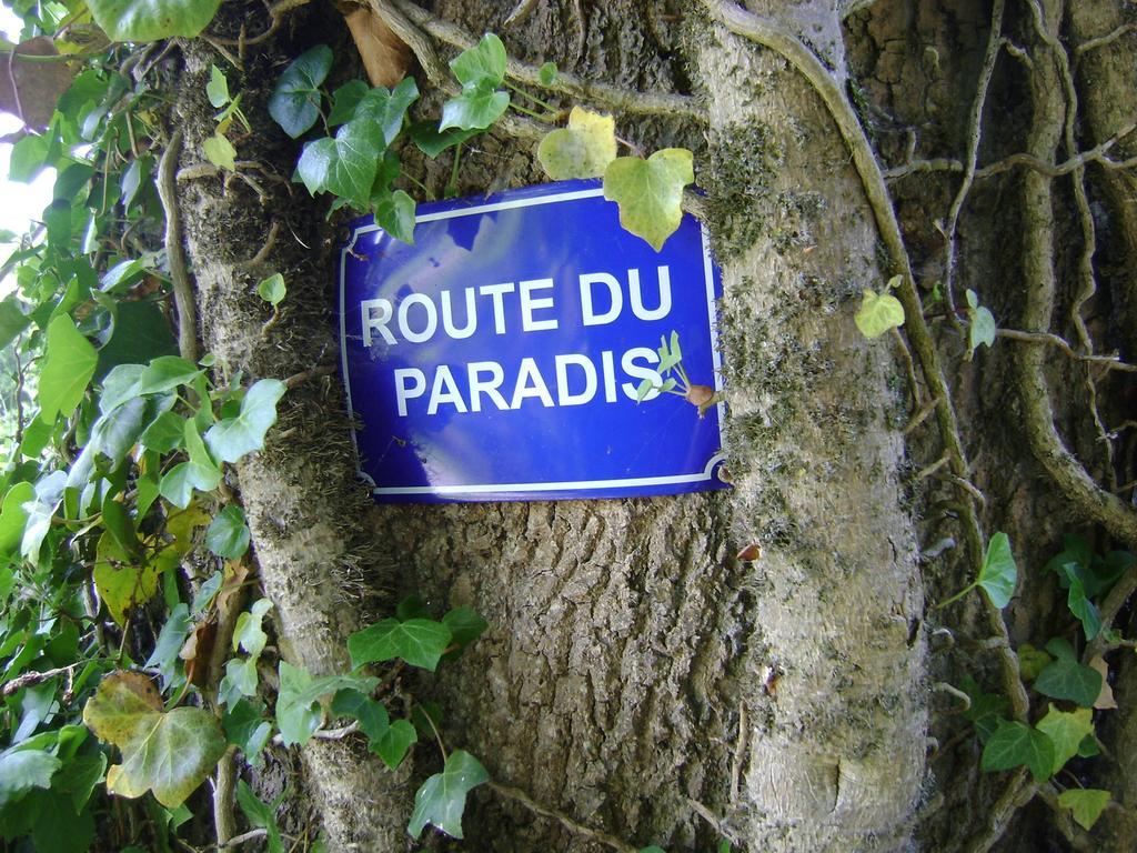 Gite Les Mineurs Zottegem Ngoại thất bức ảnh